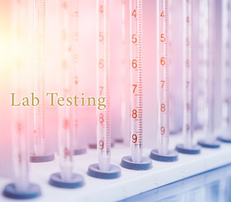 Picture of Lab Testing